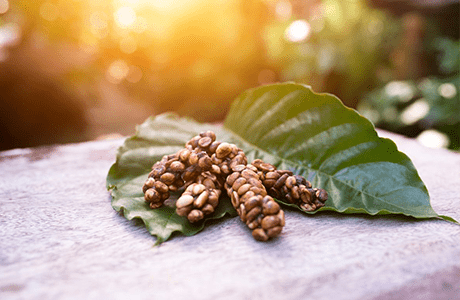 インドネシア産コーヒー豆