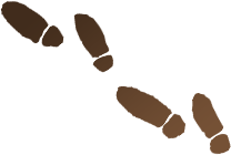 運動のパフォーマンス向上